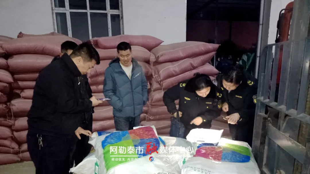 阿勒泰市：春耕从一粒种子开始-骆驼帮