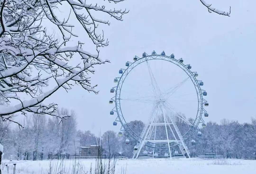 冬季的帷幕悄然落下，雪花如同翩翩起舞的仙子，轻盈地飘洒在大地上。-骆驼帮