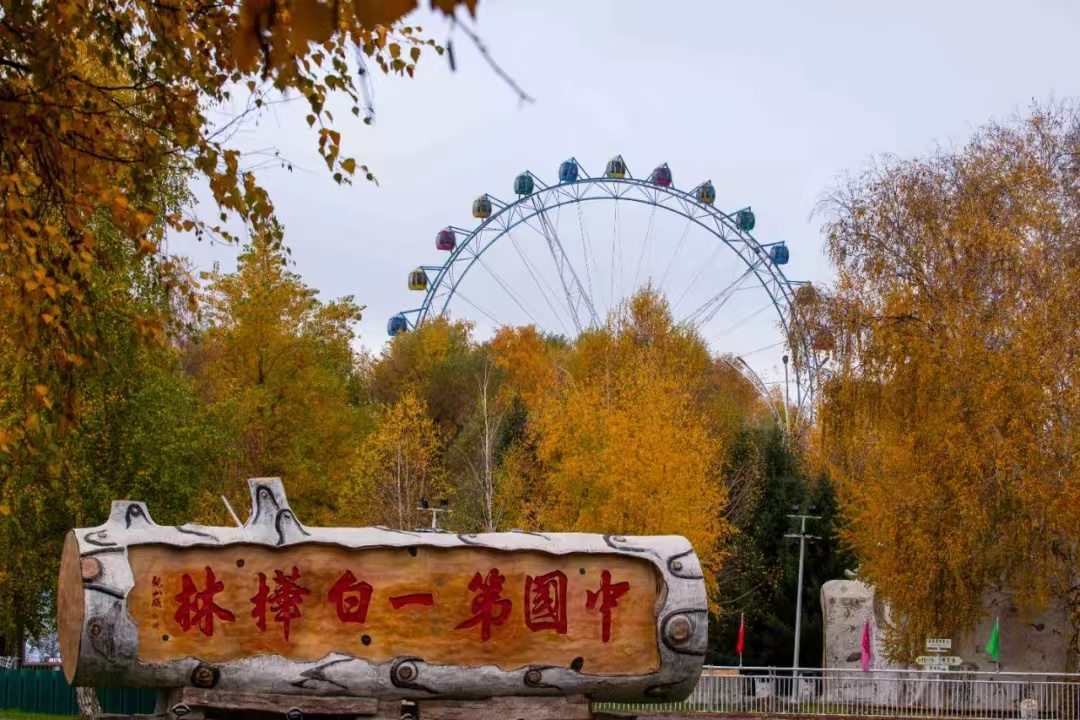 白桦林景区，这里有丰富的娱乐设施、美食和文创产品，是体验当地文化的好去处。同时，这里也是巴太和文秀定情的地方，值得我们打卡留念。-骆驼帮