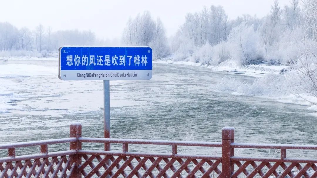宛如仙境！在白桦林景区赴一场雾凇之约-骆驼帮