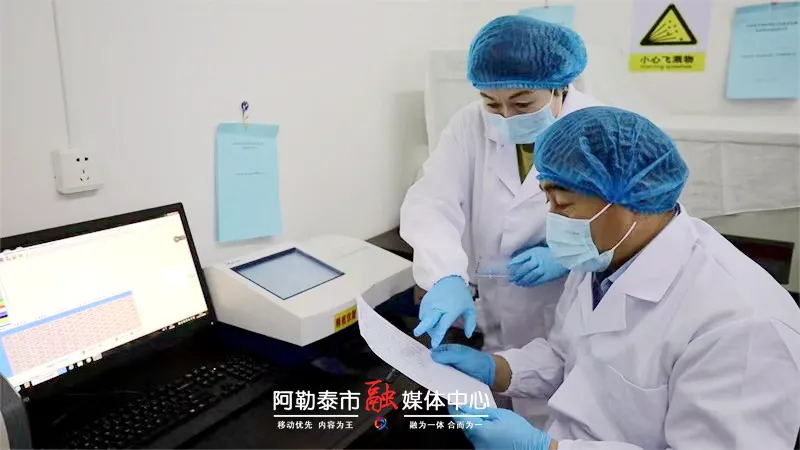 守护“奶罐子”！阿勒泰市为奶牛做健康体检-骆驼帮
