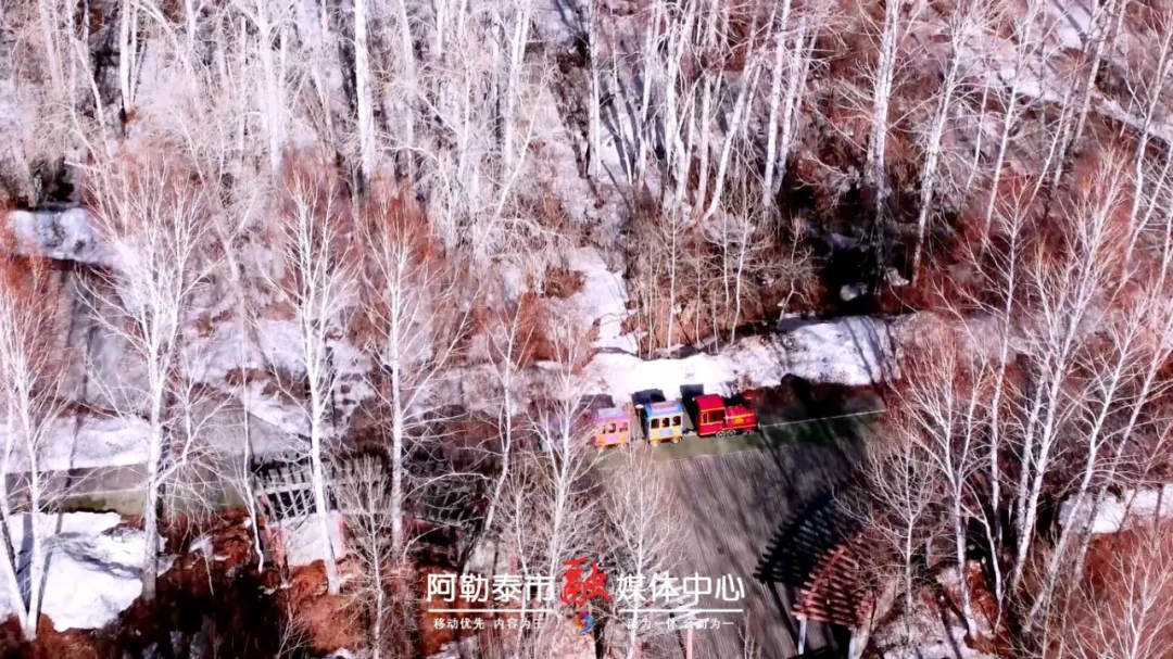 玩转阿勒泰丨春日漫游正当时！阿勒泰市桦林公园游乐设施开放啦-骆驼帮