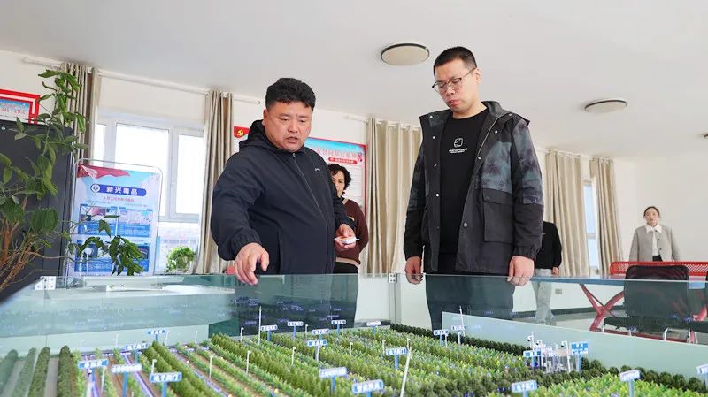 布尔津县杜来提乡：农业提“智” 数字农业加“慧”前行-骆驼帮