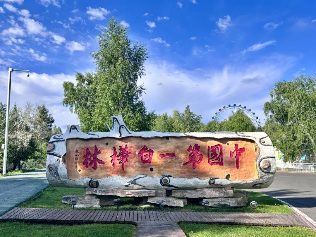 当春风吻过白桦林的眉梢，洁白的树干披上嫩绿新芽，每一片叶子都在阳光下闪烁着春天的私语，这里是时光赠予的温柔诗行。-骆驼帮