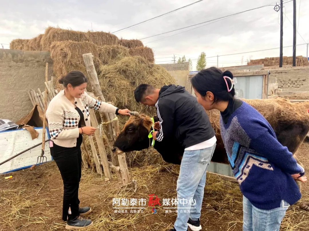 阿勒泰市：“荧光妙计” 化解放牧难题-骆驼帮