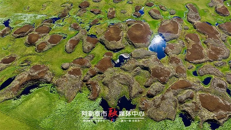 图片[3]-醉美山河·探秘阿禾丨跟着摄影名家郝沛，解锁阿禾公路的极致风光-骆驼帮