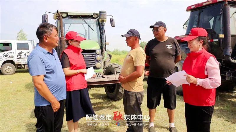 图片[4]-打草啦！机器轰鸣收“冬粮”-骆驼帮
