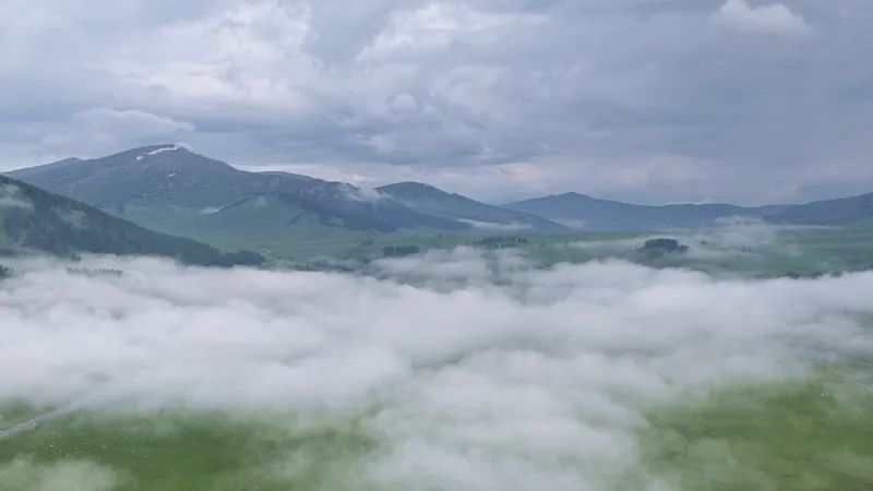 杜来提乡：晨雾弥漫夏牧场 云海翻涌绘仙境-骆驼帮
