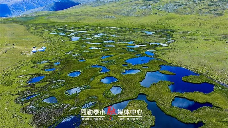 图片[2]-醉美山河·探秘阿禾丨跟着摄影名家郝沛，解锁阿禾公路的极致风光-骆驼帮