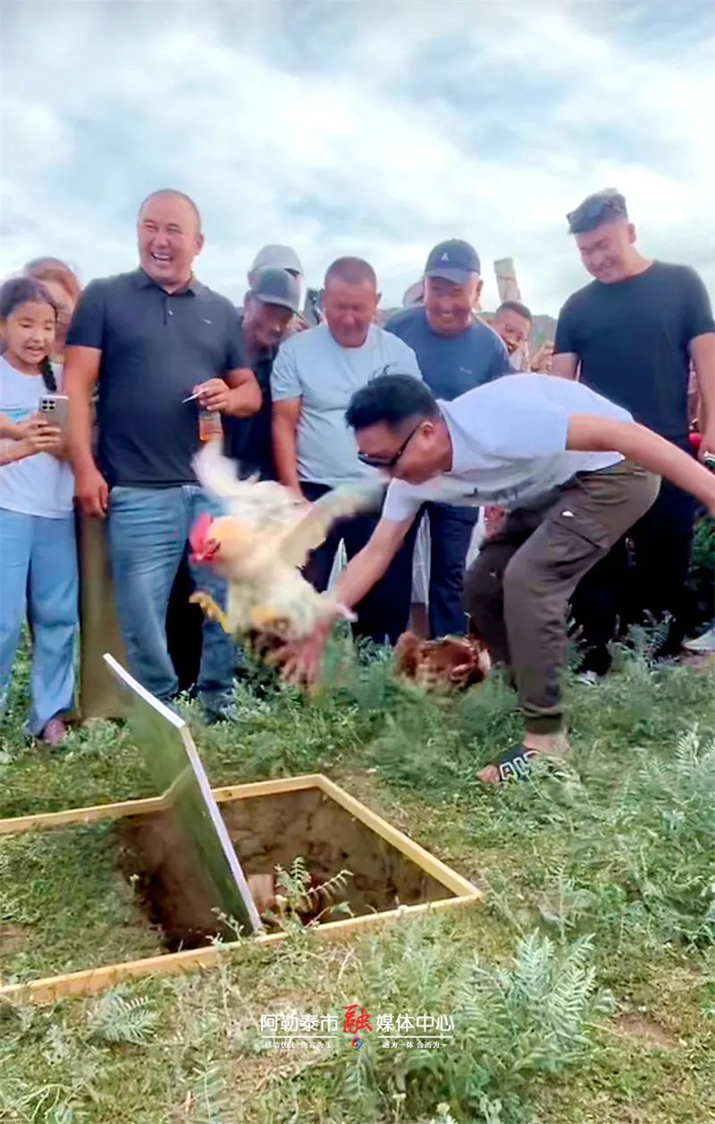 图片[1]-玩转阿勒泰丨举石 射箭 掰腕齐嗨 蒙克牧场这场盛会燃爆阿勒泰夏夜-骆驼帮