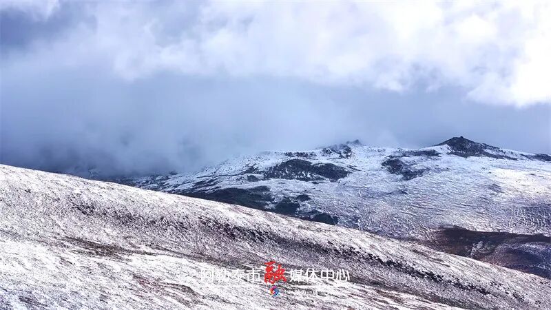 图片[1]-魅力金山丨秋雪落阿勒泰 草原与雪山撞了个满怀-骆驼帮