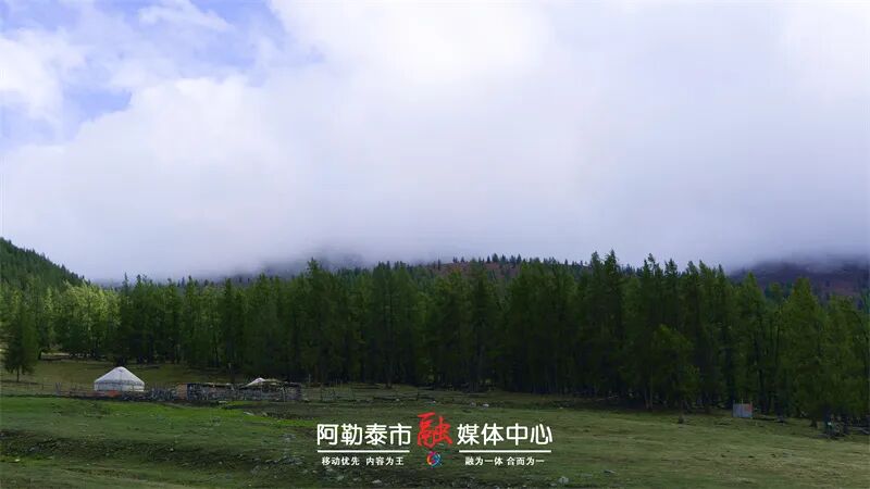 图片[2]-魅力金山丨秋雪落阿勒泰 草原与雪山撞了个满怀-骆驼帮