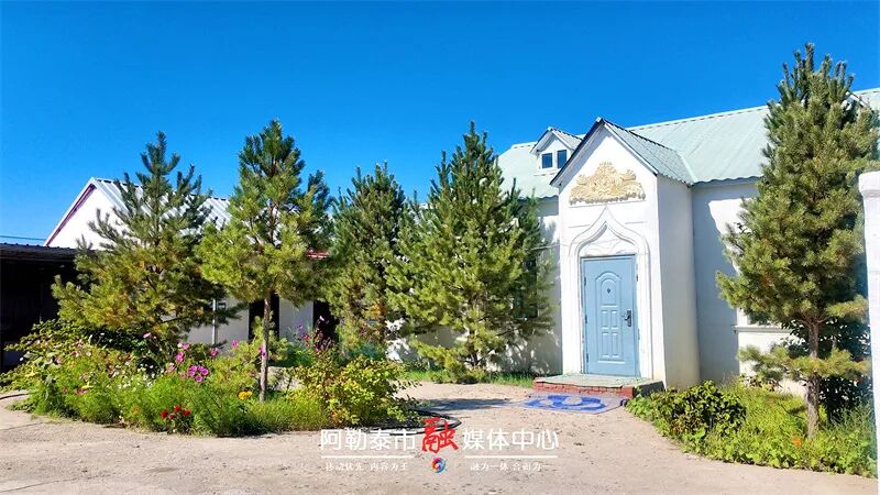 辉煌70年 奋进新征程｜阿勒泰市妇女以庭院为“画布” 绘就“美富康”幸福生活-骆驼帮