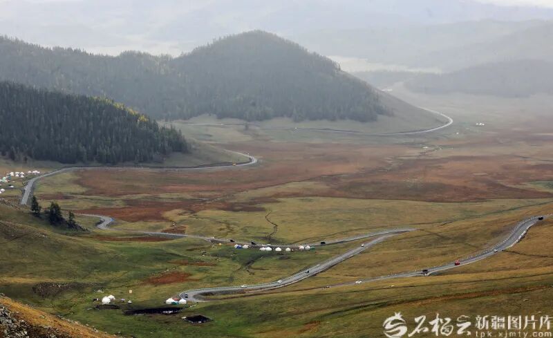 旅游促“三交”丨秋日阿禾公路：穿行在金色的画卷里-骆驼帮