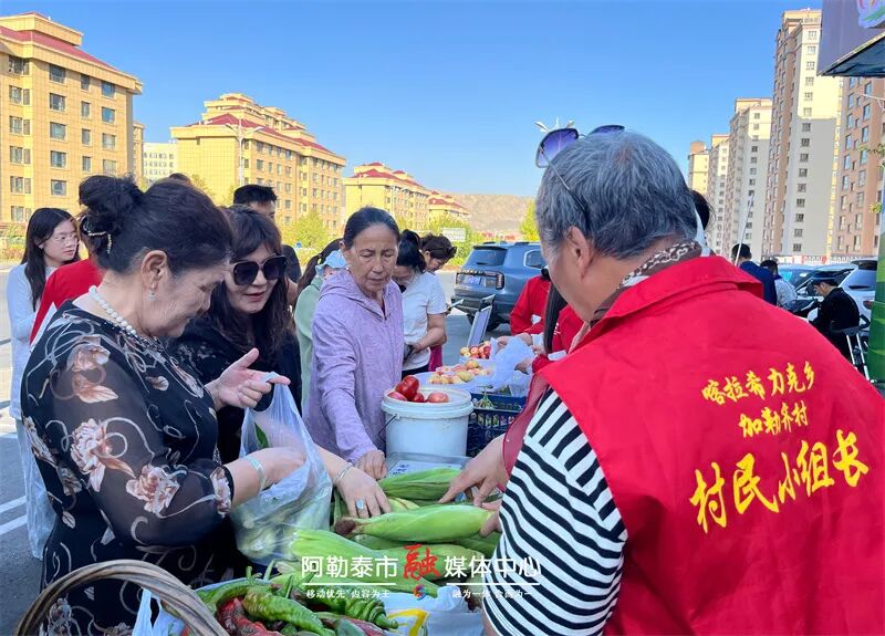 日照金山丨庭院变“宝地” 作坊变“金库”阿勒泰市农牧民增收有妙招-骆驼帮