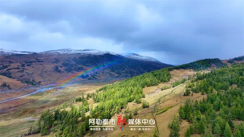 图片[7]-魅力金山丨秋雪落阿勒泰 草原与雪山撞了个满怀-骆驼帮