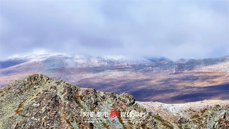 图片[4]-魅力金山丨秋雪落阿勒泰 草原与雪山撞了个满怀-骆驼帮
