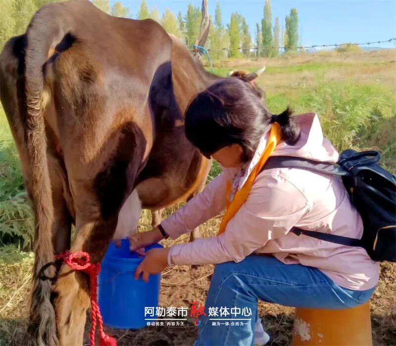 魅力金山丨家访式旅游让秋日打卡更有温度-骆驼帮