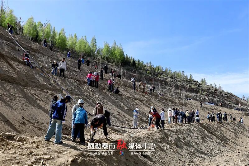 辉煌70年 奋进新征程丨生态为笔 团结为墨 阿勒泰市书写绿色发展与交融共生新篇章-骆驼帮
